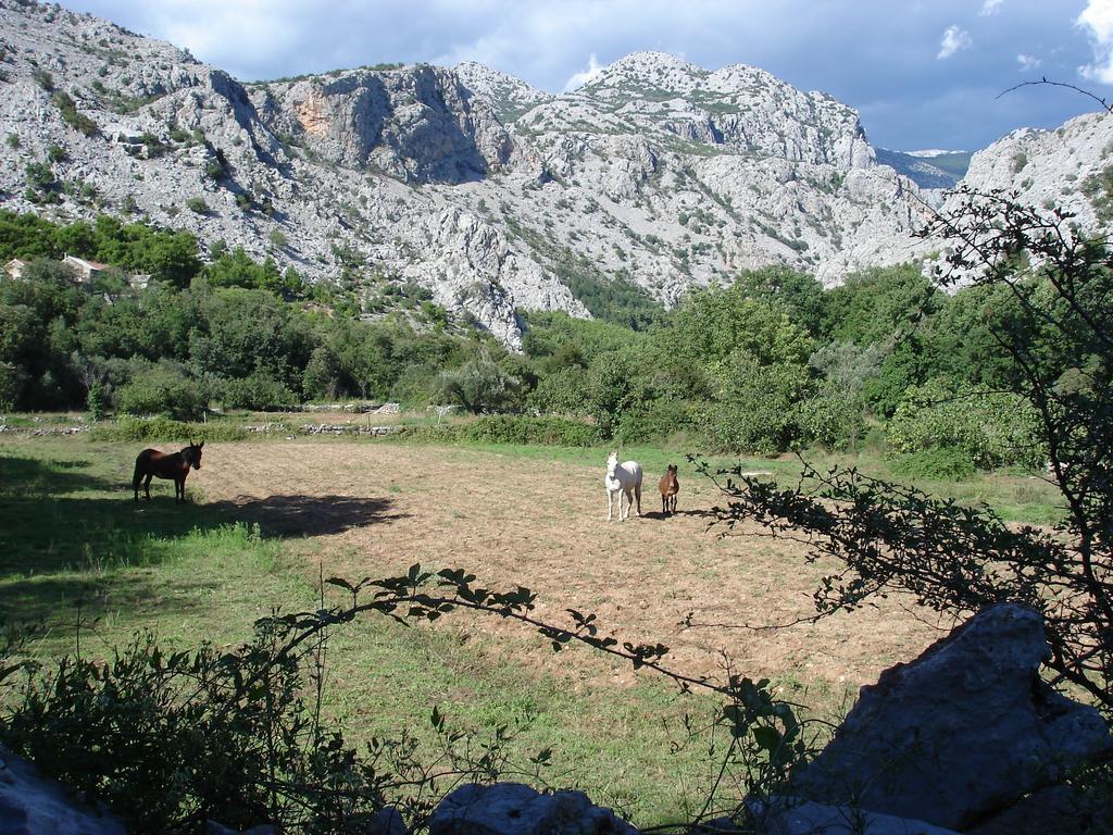 Holiday Home Paklenica Стариград-Пакленица Номер фото